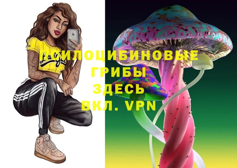 omg рабочий сайт  Невельск  Псилоцибиновые грибы мицелий 